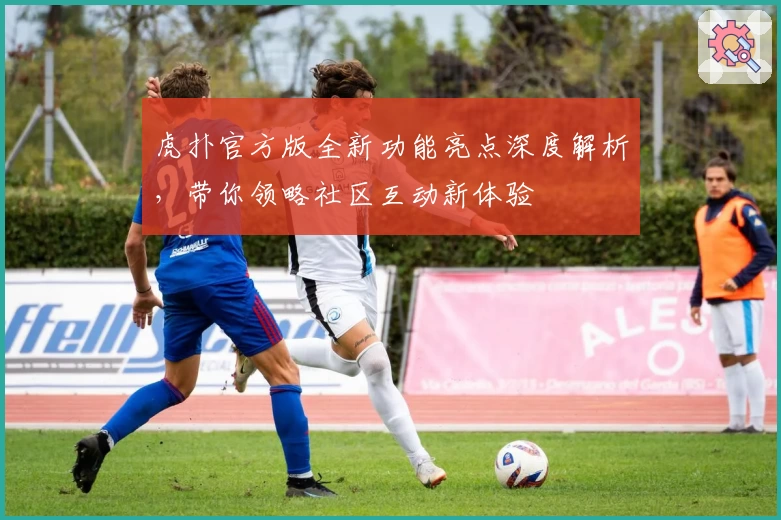 虎扑官方版全新功能亮点深度解析，带你领略社区互动新体验