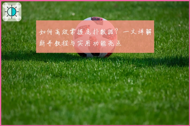 如何高效掌握虎扑数据?一文详解新手教程与实用功能亮点