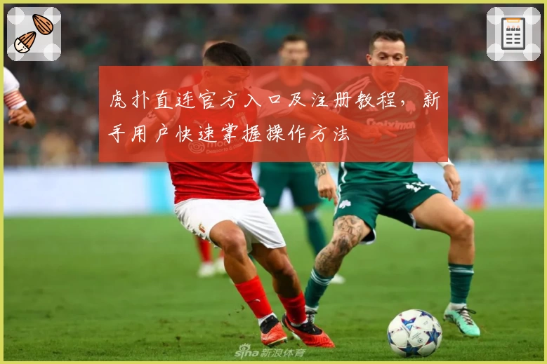 虎扑直连官方入口及注册教程，新手用户快速掌握操作方法